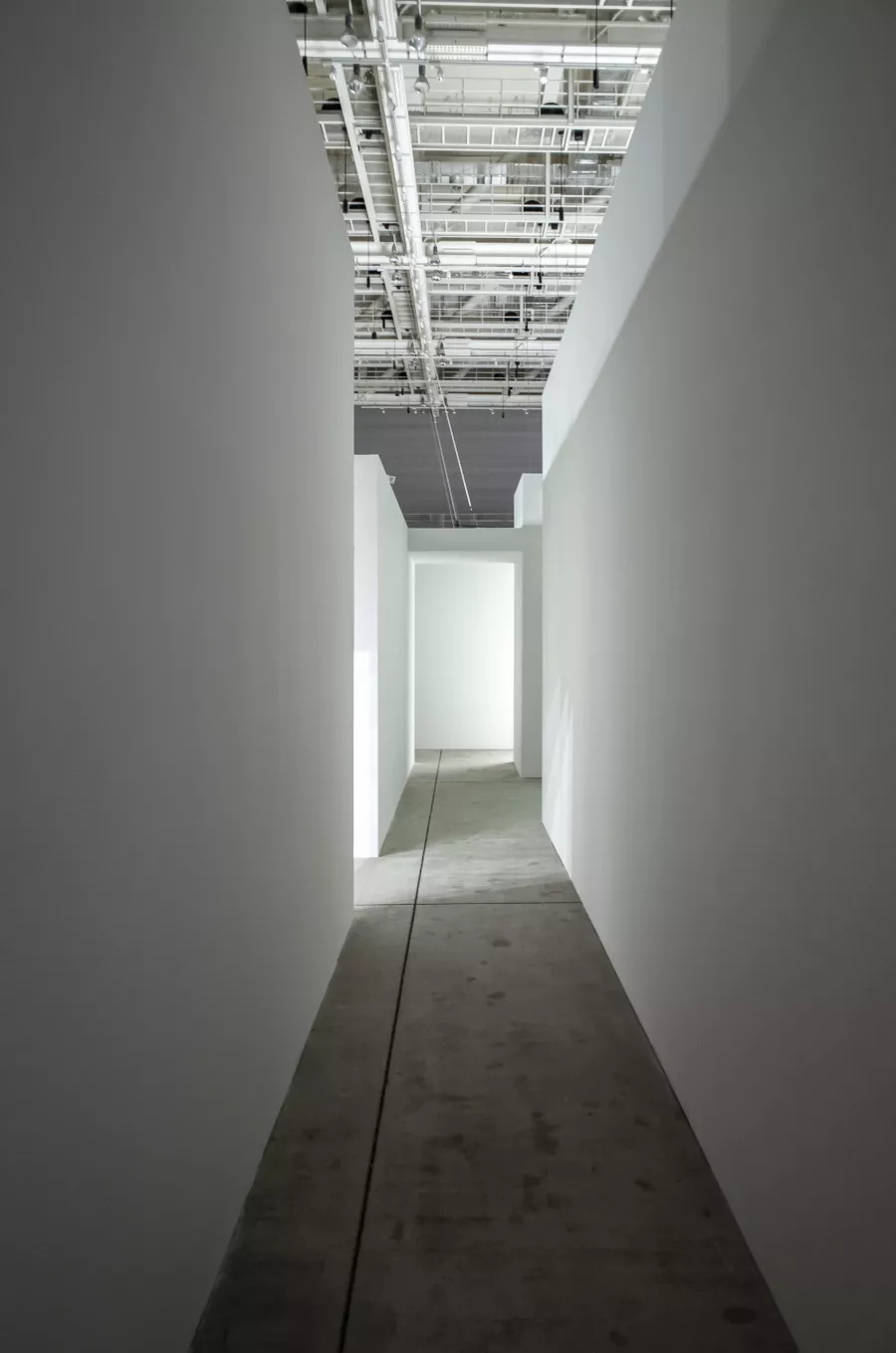 2020 ACC_R Residency Exhibition < BIOPHILIA: A handful of earth >