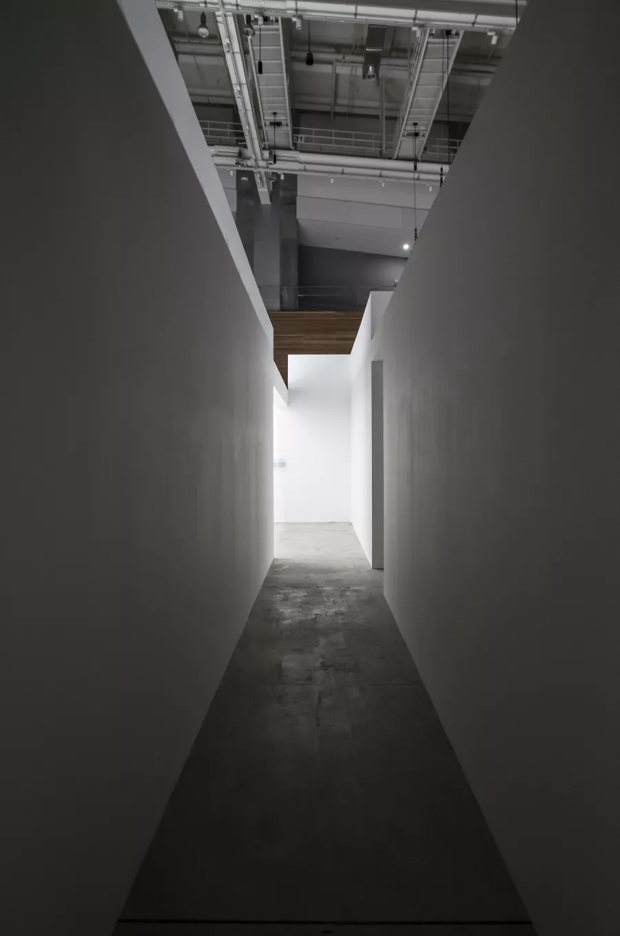 2020 ACC_R Residency Exhibition < BIOPHILIA: A handful of earth >