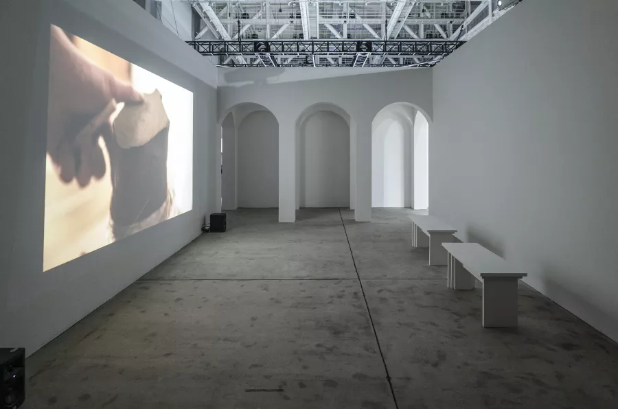 2020 ACC_R Residency Exhibition < BIOPHILIA: A handful of earth >