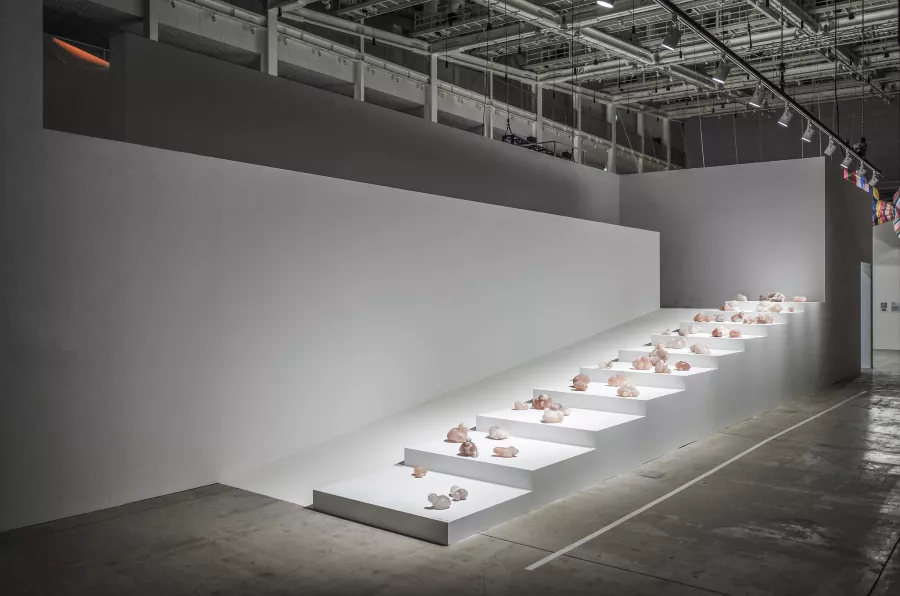 2020 ACC_R Residency Exhibition < BIOPHILIA: A handful of earth >